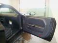 2010 Challenger R/T #19