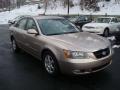 2007 Sonata SE V6 #7