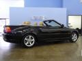 2003 3 Series 325i Convertible #5