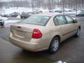2005 Malibu Sedan #2