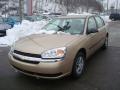 2005 Malibu Sedan #5