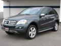 2010 ML 350 BlueTEC 4Matic #1 2010 ML 350 BlueTEC 4Matic #1