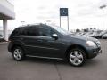 2010 ML 350 BlueTEC 4Matic #3 2010 ML 350 BlueTEC 4Matic #3