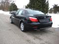 2010 5 Series 528i xDrive Sedan #3