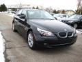 2010 5 Series 528i xDrive Sedan #7