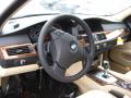2010 5 Series 528i xDrive Sedan #9