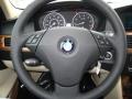 2010 5 Series 528i xDrive Sedan #16
