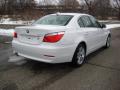 2010 5 Series 528i xDrive Sedan #5 2010 5 Series 528i xDrive Sedan #5