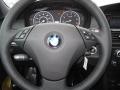 2010 5 Series 535i xDrive Sedan #15