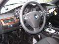 2010 5 Series 535i xDrive Sedan #9