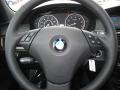 2010 5 Series 535i xDrive Sedan #16