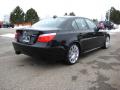 2010 5 Series 550i Sedan #5
