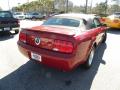 2008 Mustang V6 Deluxe Convertible #11 2008 Mustang V6 Deluxe Convertible #11