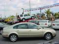 2002 Passat GLX Sedan #2