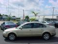 2002 Passat GLX Sedan #6