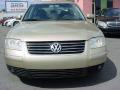 2002 Passat GLX Sedan #8