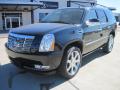 2010 Escalade Premium #1