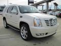 2009 Escalade  #2