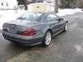 2006 SL 500 Roadster #5