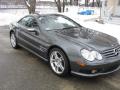 2006 SL 500 Roadster #6