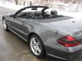 2006 SL 500 Roadster #18