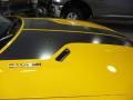 2010 Challenger SRT8 #29