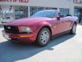 2009 Mustang V6 Convertible #1