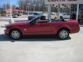 2009 Mustang V6 Convertible #3