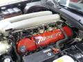 2005 Viper SRT-10 #24 2005 Viper SRT-10 #24