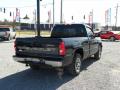 2006 Silverado 1500 Work Truck Regular Cab #5 2006 Silverado 1500 Work Truck Regular Cab #5