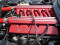 2001 Viper RT-10 #23