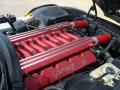 2001 Viper RT-10 #25