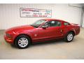 2009 Mustang V6 Premium Coupe #8