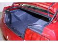 2009 Mustang V6 Premium Coupe #10