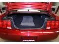 2009 Mustang V6 Premium Coupe #11