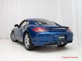 2010 Cayman  #6