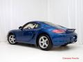 2010 Cayman  #7