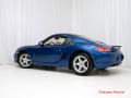 2010 Cayman  #8