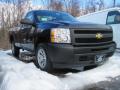 2010 Silverado 1500 Regular Cab #3