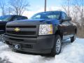 2010 Silverado 1500 Regular Cab #10