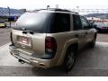 2007 TrailBlazer LS 4x4 #4