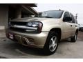 2007 TrailBlazer LS 4x4 #10