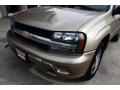 2007 TrailBlazer LS 4x4 #16