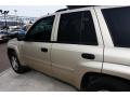 2007 TrailBlazer LS 4x4 #20