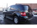 2007 ML 350 4Matic #3