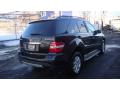 2007 ML 350 4Matic #4