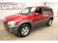 2006 Tribute s #4
