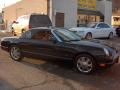 2003 Thunderbird Premium Roadster #1
