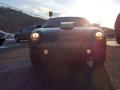2003 Thunderbird Premium Roadster #6