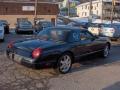 2003 Thunderbird Premium Roadster #18
